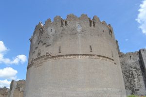 Yedi Kardeş Burcu